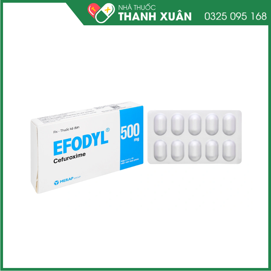 Efodyl 500mg điều trị nhiễm khuẩn